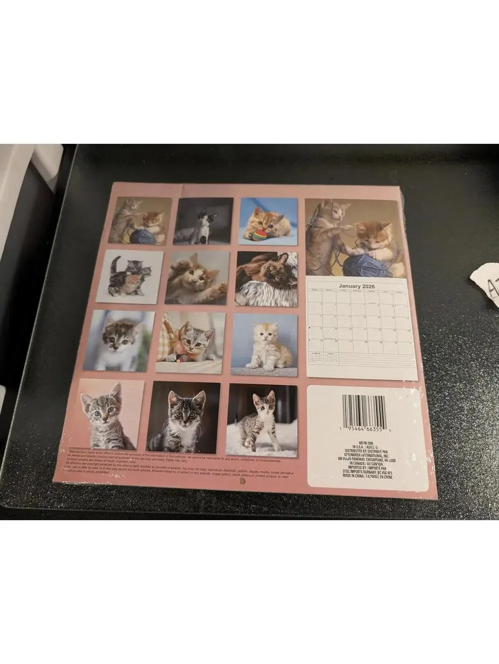 2026 Kittens 12-Month Wall Calendar - 12